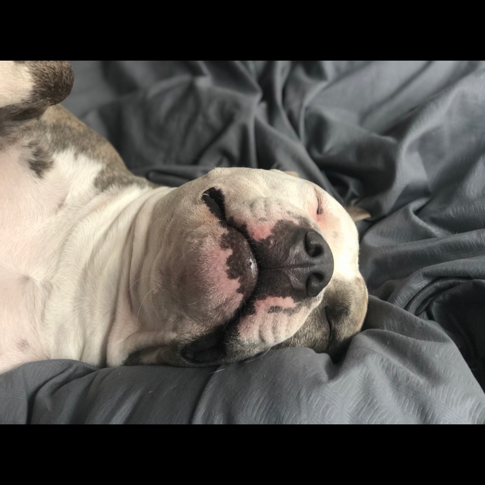 Meet your Posher, Courtney